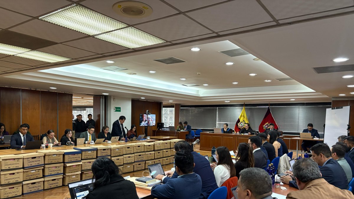 Purga tiene varios eventos, entre ellos Banco del Pacífico, GDO, tráfico de tierras y Cuerpo de Ingenieros del Ejército.