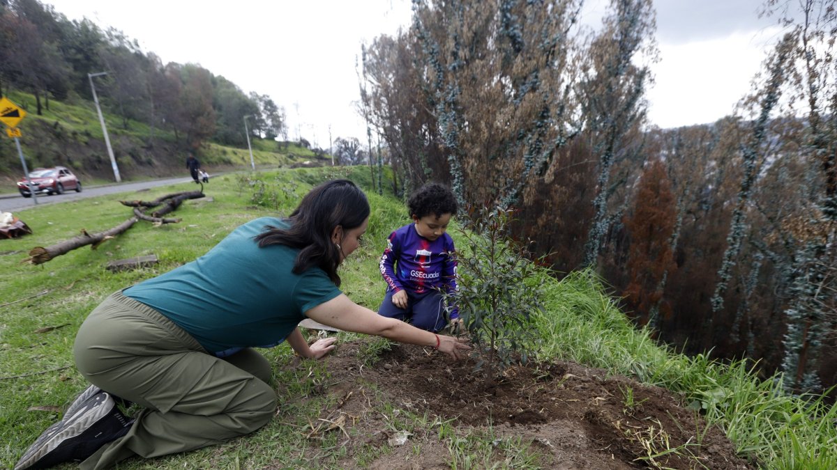 Voluntarios. Daniela Altamirano y su hijo participaron en las jornadas de reforestación.