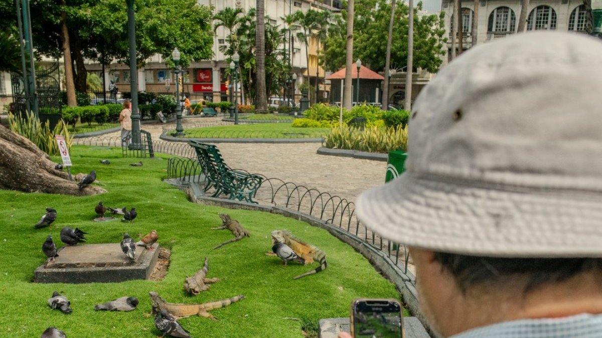 El Iva se reduce por el feriado de carnaval.