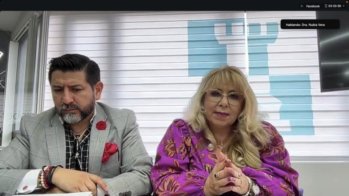 La jueza Nubia Vera compareció de manera telemática a la mesa de Justicia.