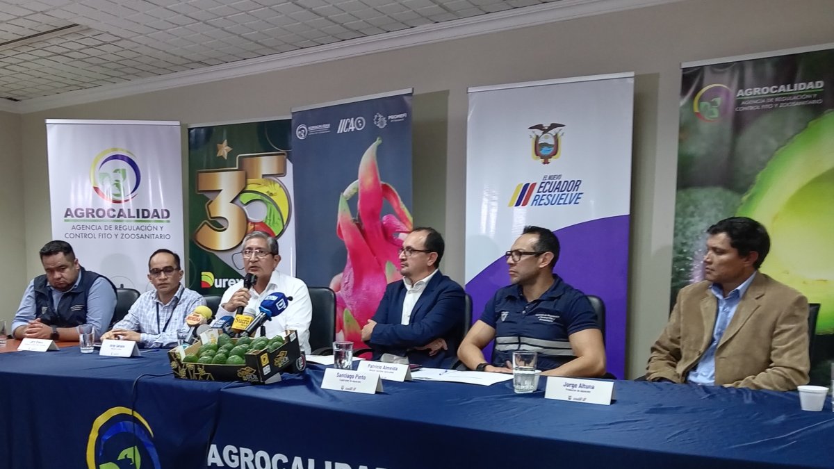 Las autoridades de Agrocalidad, Ministerio de Agricultura y los exportadores anuncian la exportación de pitahaya y aguacate a Argentina.