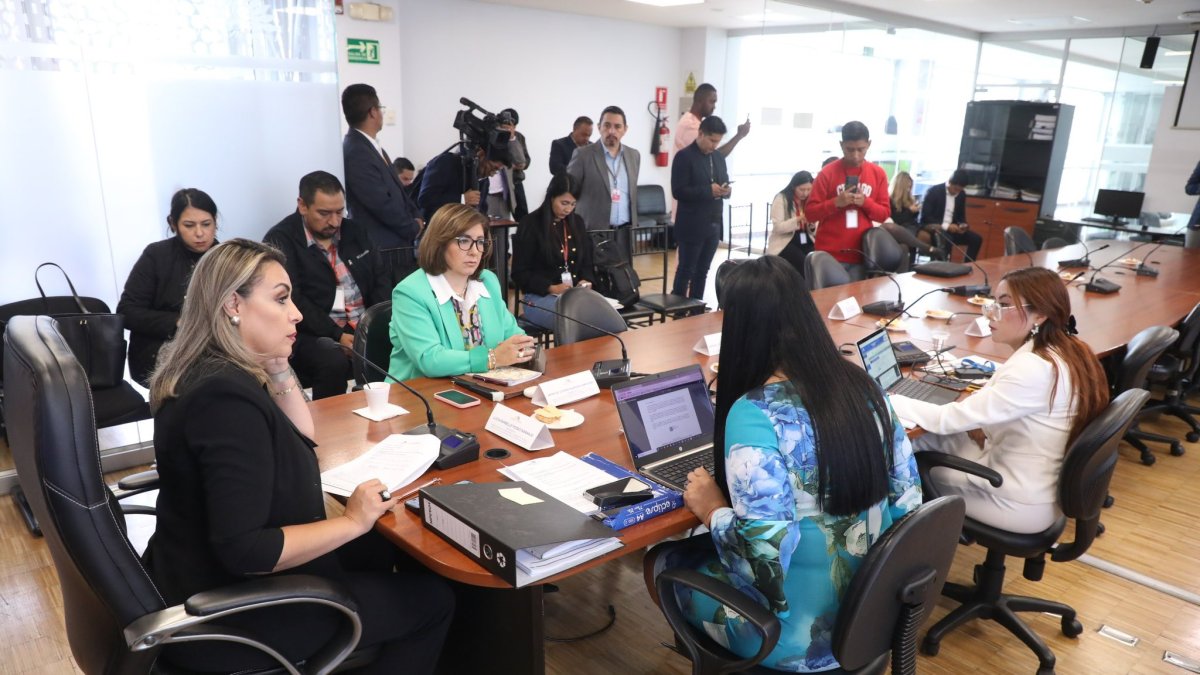 La asambleísta Lucía Posso preside la comisión creada por la reforma.