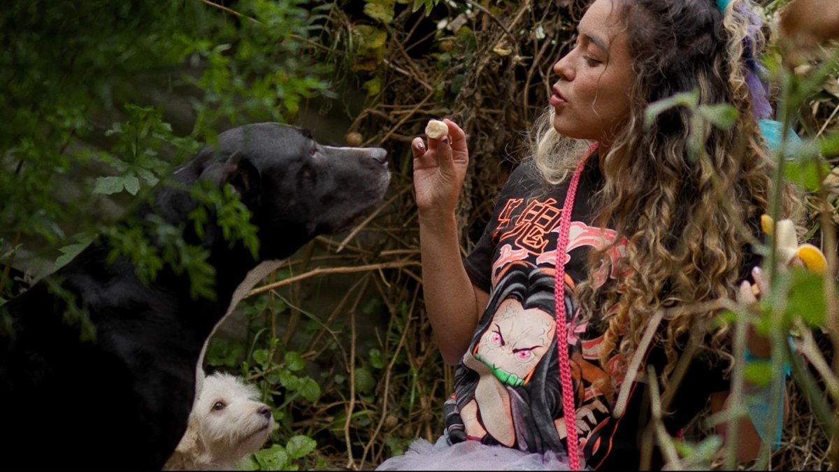 La serie se estrenó recientemente en la Cinemateca Nacional Ulises Estrella, de la capital.