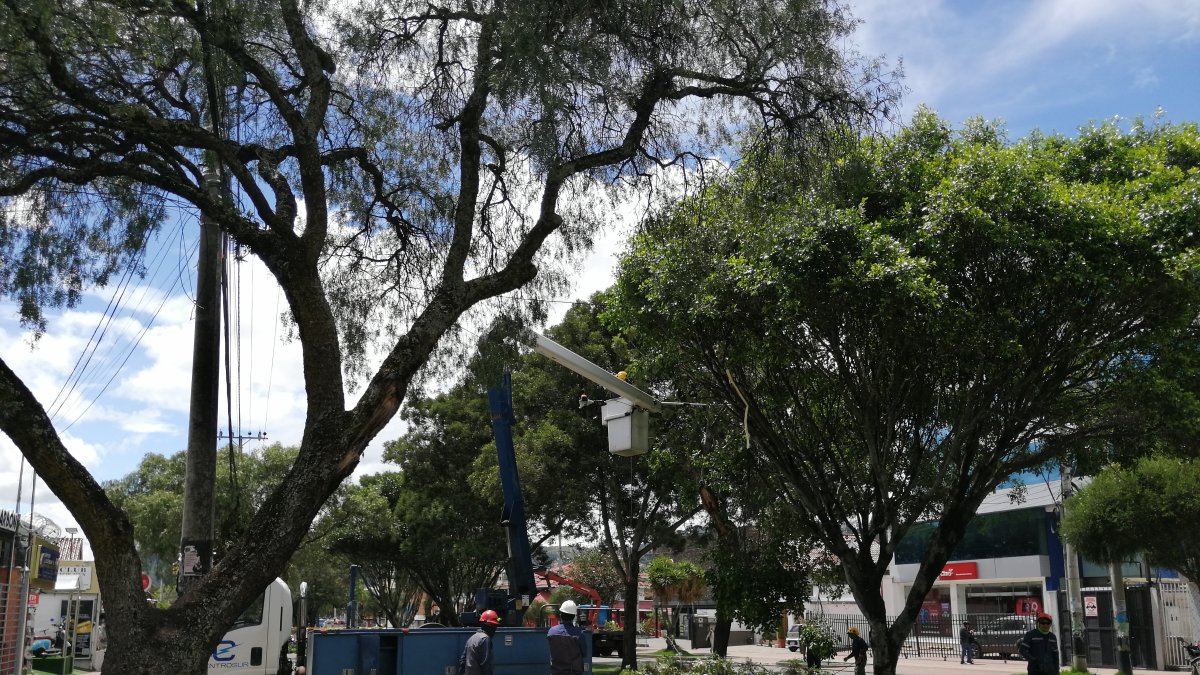Poda. El fin de semana se podaron árboles de la avenida Remigio Crespo. En otro puntos fueron talados.