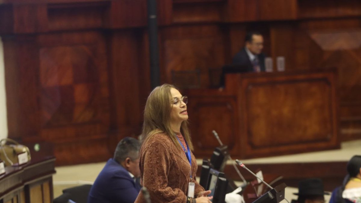 La asambleísta Pierina Correa resumió el informe sobre el caso Malvinas.