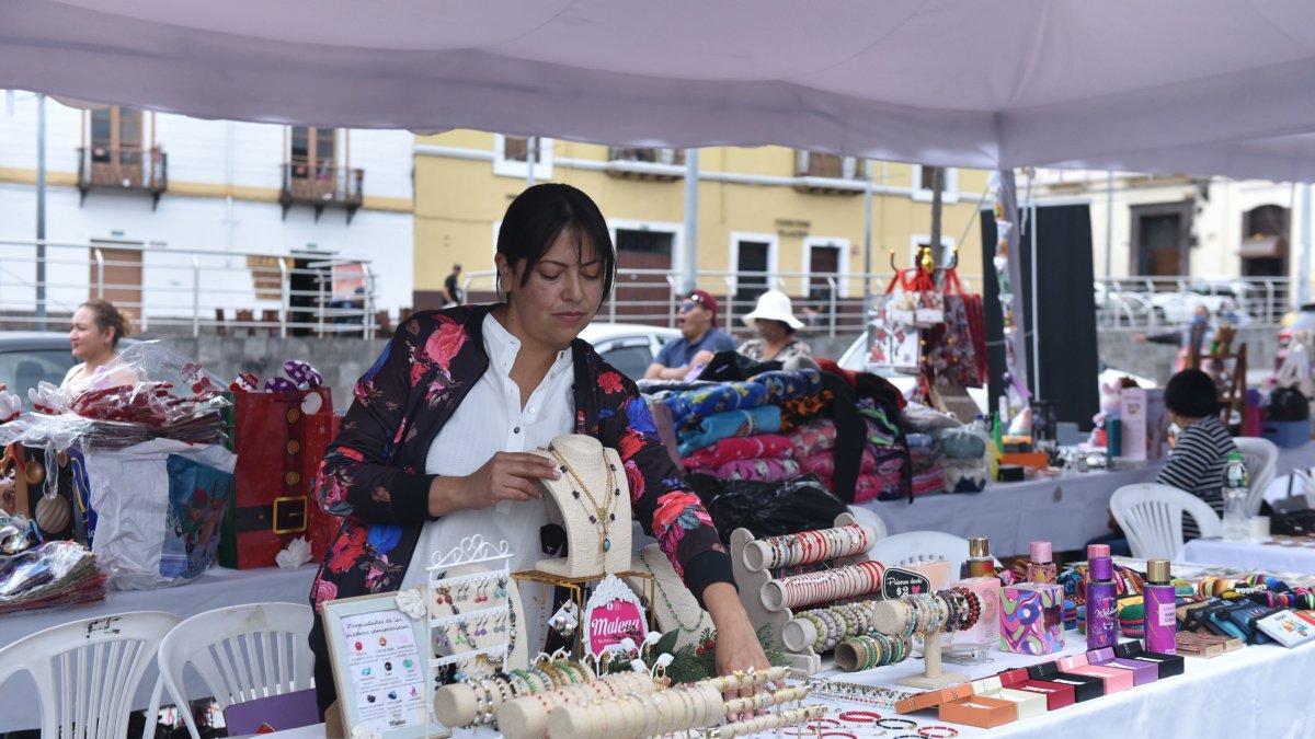 La Ley para Mujeres Emprendedoras propone alivios y borrar historial crediticio.