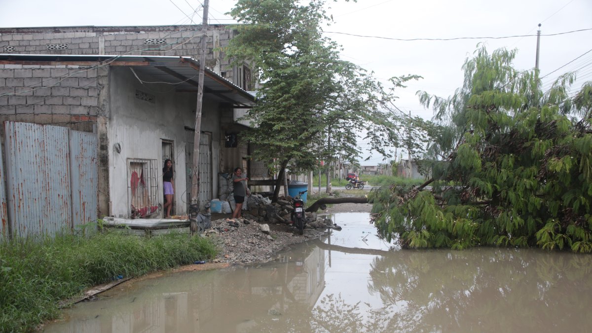 Entre las afectaciones que se han registrado en la provincia del Guayas constan las inundaciones en Durán, donde se han desplomado además árboles y las aguas negras se han desbordado.
