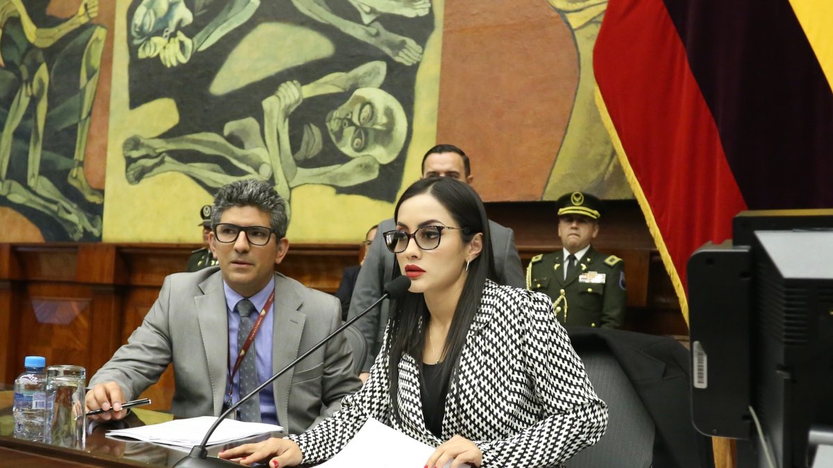 La presidenta de la Asamblea Viviana Veloz suspendió el tratamiento del punto.