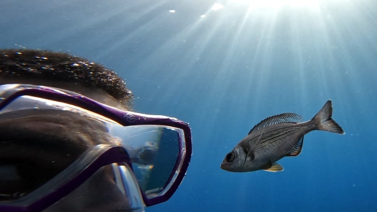 El autor del estudio, Maëlan Tomasek, con uno de los peces durante el  experimento realizado en el mar Mediterráneo. 