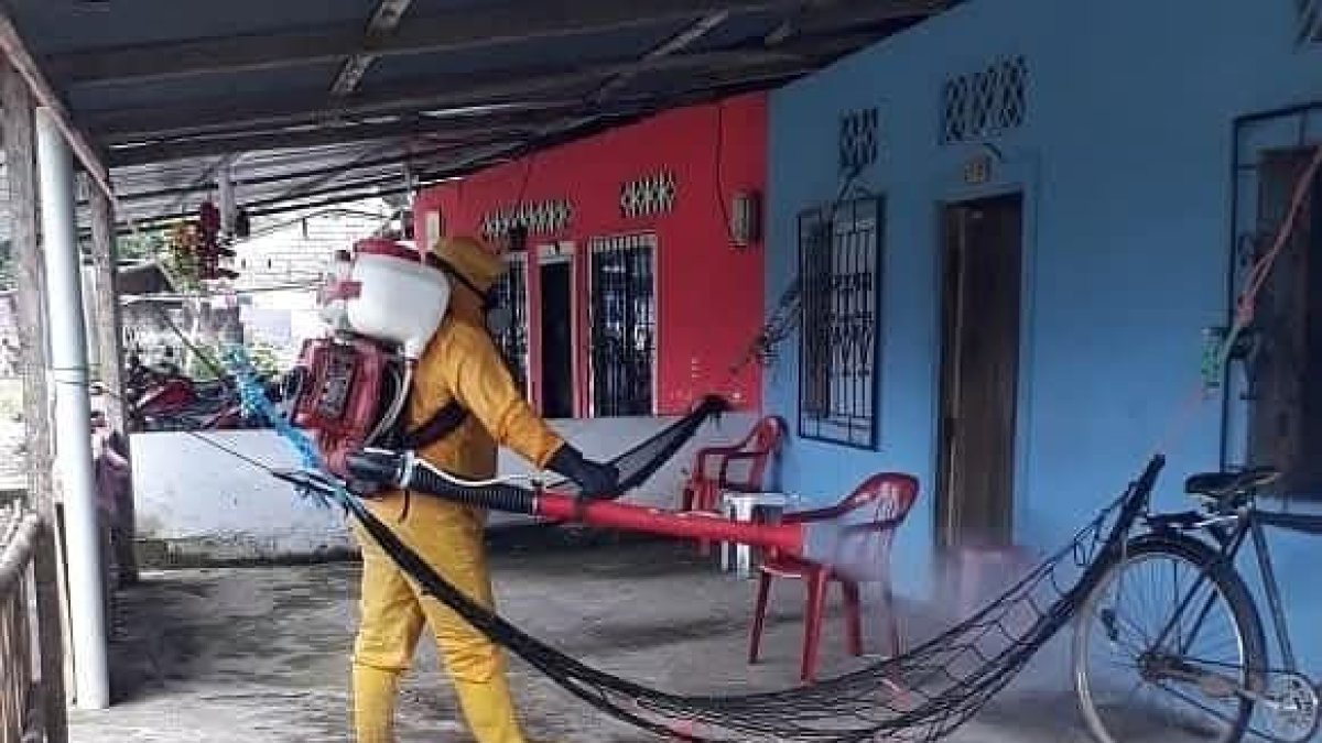 Como medidas preventivas realizan fumigaciones en las viviendas del sector subtropical.