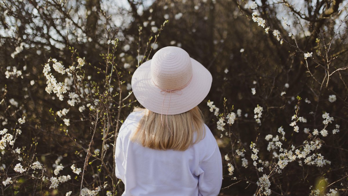 La posmenopausia una etapa que inicia un año después de la última menstruación.