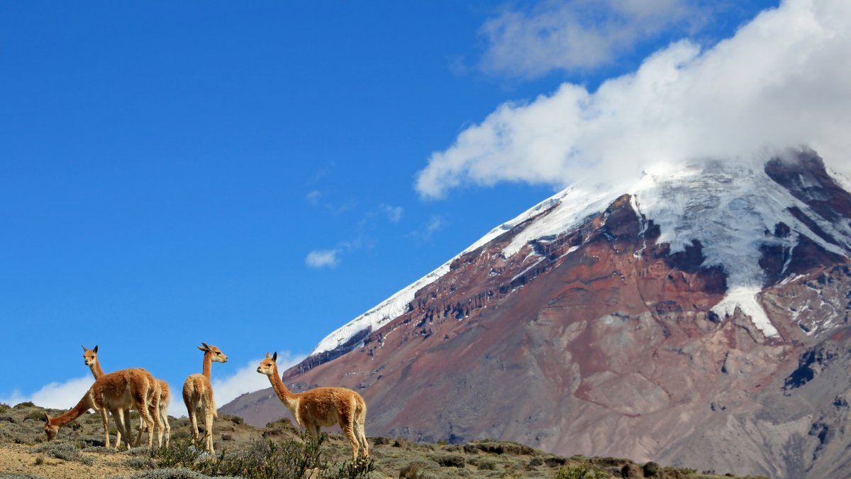 El Ministerio del Ambiente, Agua y Transición Ecológica emitió una alerta de alto riesgo de avalanchas en el volcán Chimborazo