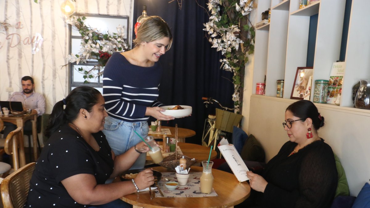 Lobo de Bosque, ubicado en C.C La Torre