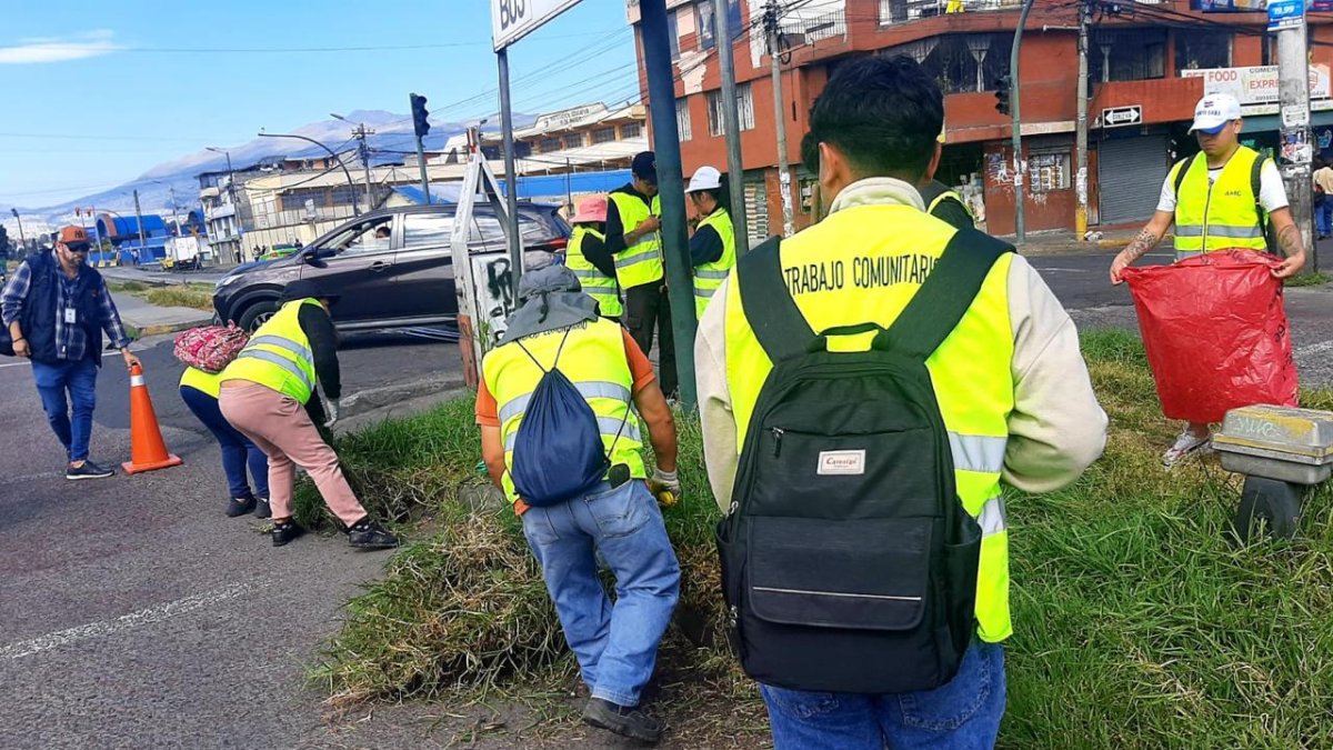 Trabajo. Han participado 629 ciudadanos en el 2024 en el proyecto.