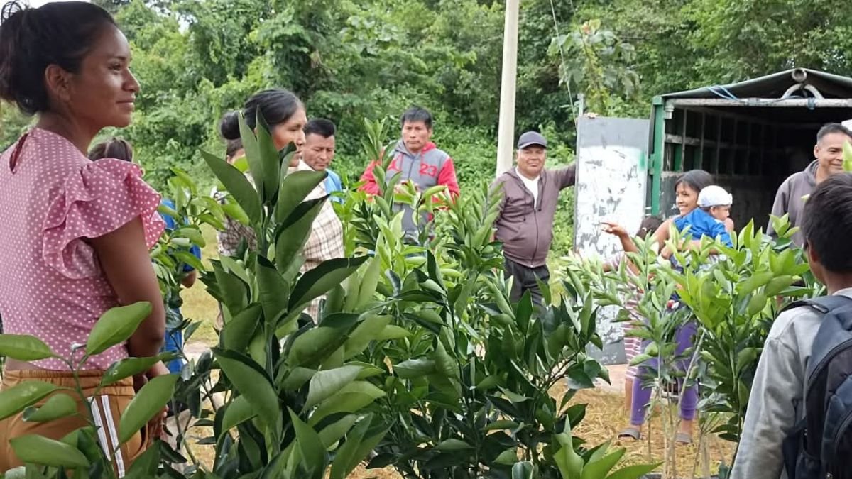 ONG. La Fundación Atasim trabaja por las comunidades más vulnerables de la Amazonía.