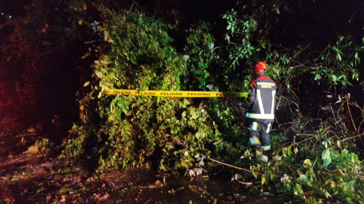 Los árboles obstaculizaron la vía Calacalí- La Independencia.