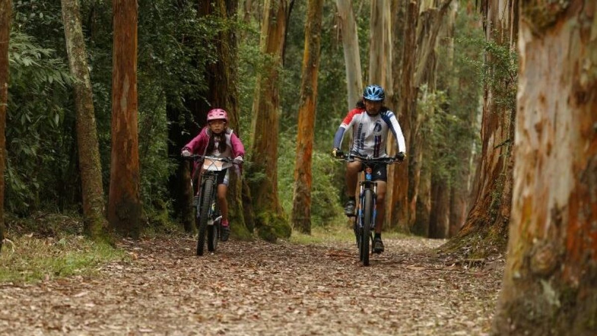 En los parques metropolitanos hay senderos, miradores y en algunas áreas para asados.