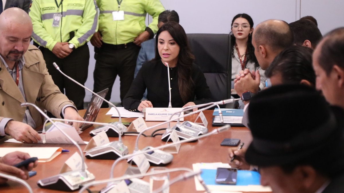 Pamela Aguirre, presidenta de la Comisión de Fiscalización, recibió las comparecencias sobre el caso del campo Sacha, el 26 de febrero.