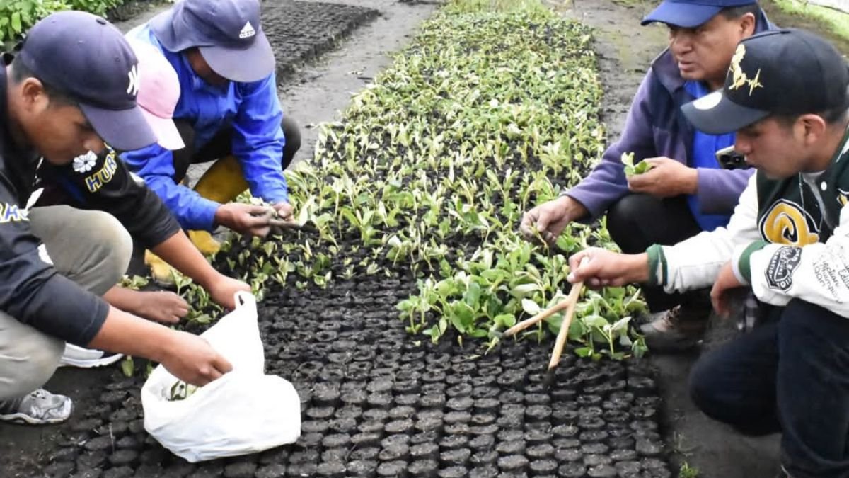 ONG. La Fundación Heifer en Ecuador impulsa la sostenibilidad en el campos en distintas provincias.