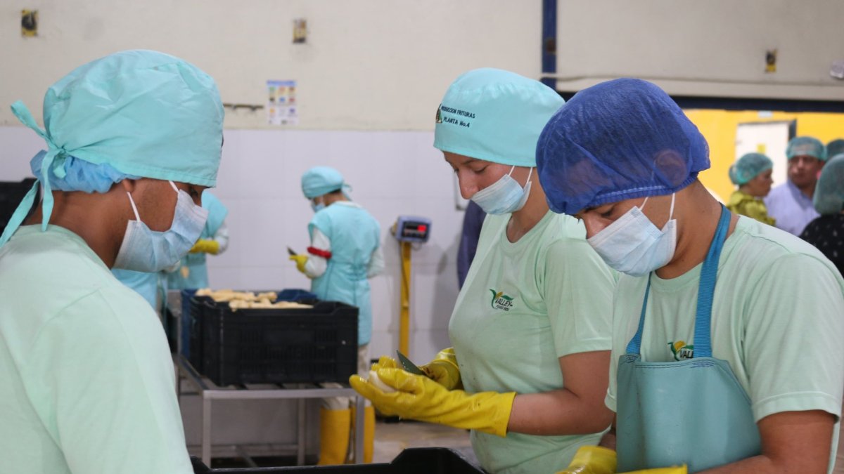 El reglamento establece el tamaño de las diferentes empresas en el país.