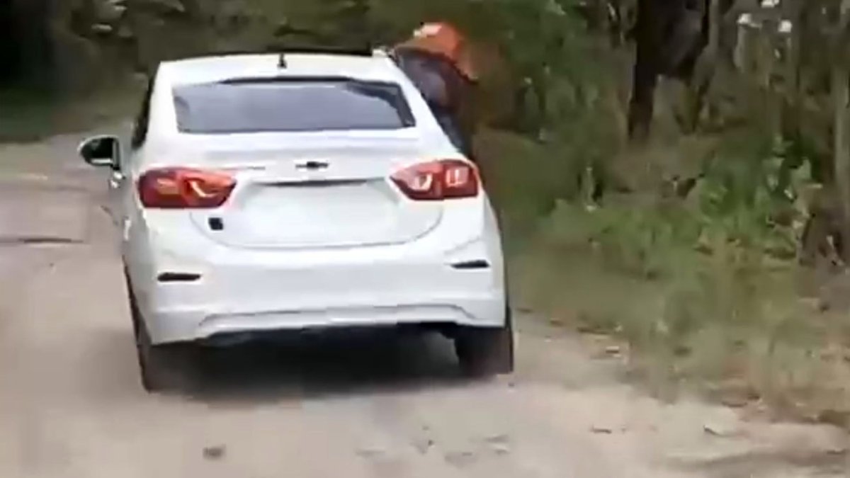 Desde la ventana de un vehículo blanco una mujer pedía auxilio.