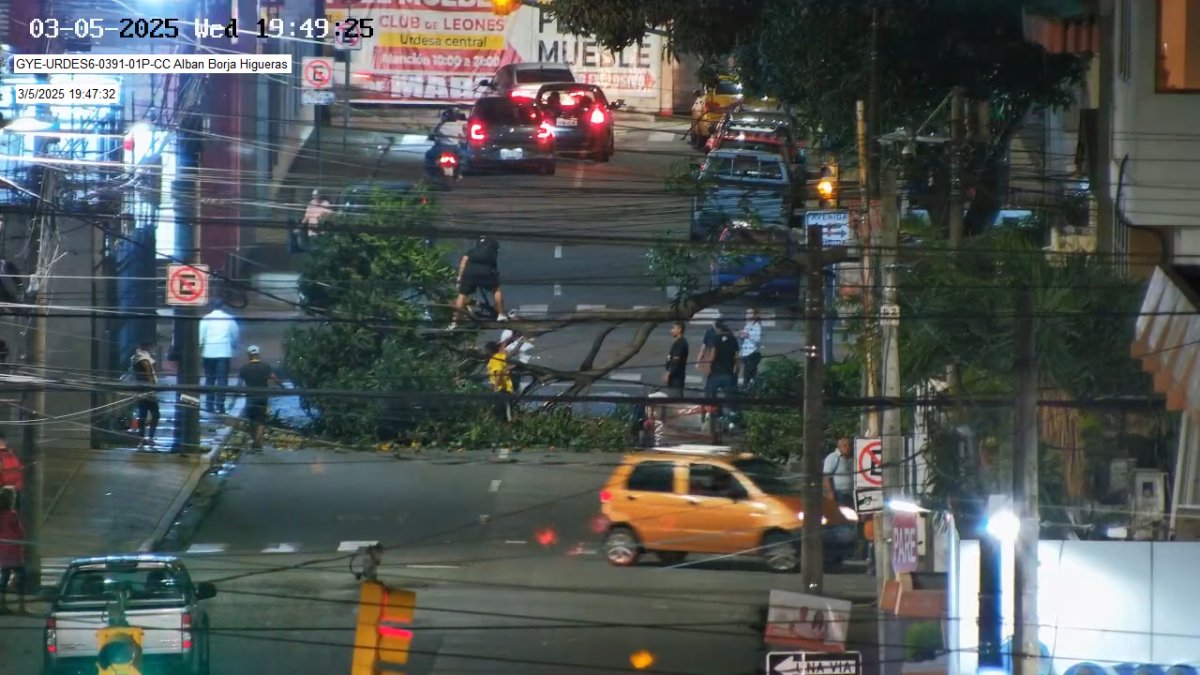 El árbol impide el tránsito de vehículos por una calle de Urdesa, la noche de este miércoles 5 de marzo.