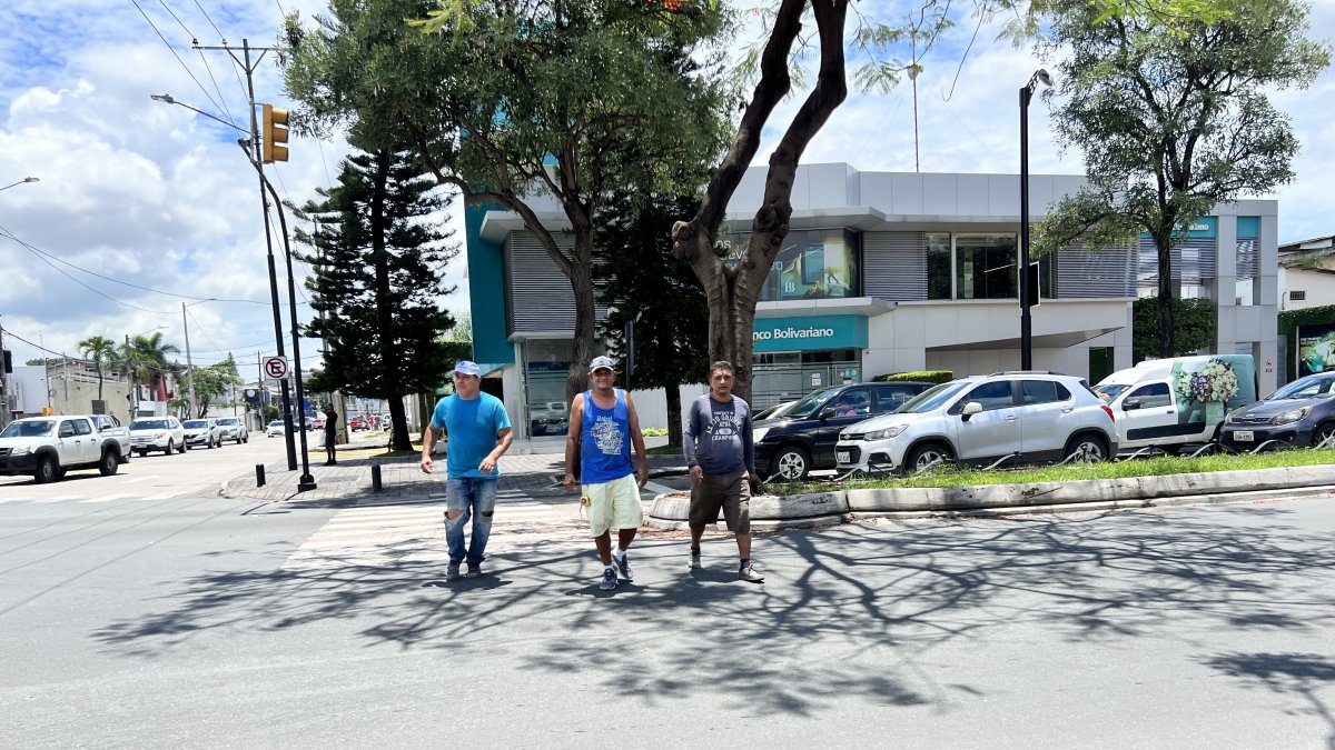 Ausencia. En Urdesa como en otras ciudadelas, las líneas de cruce peatonal no están delimitadas en la calzada. Estas señalan dónde el peatón tiene derecho de paso obligatorio.