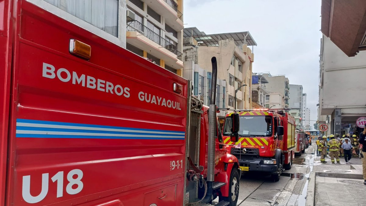 Tan solo en 2024 se registró más de 4000 incendios.