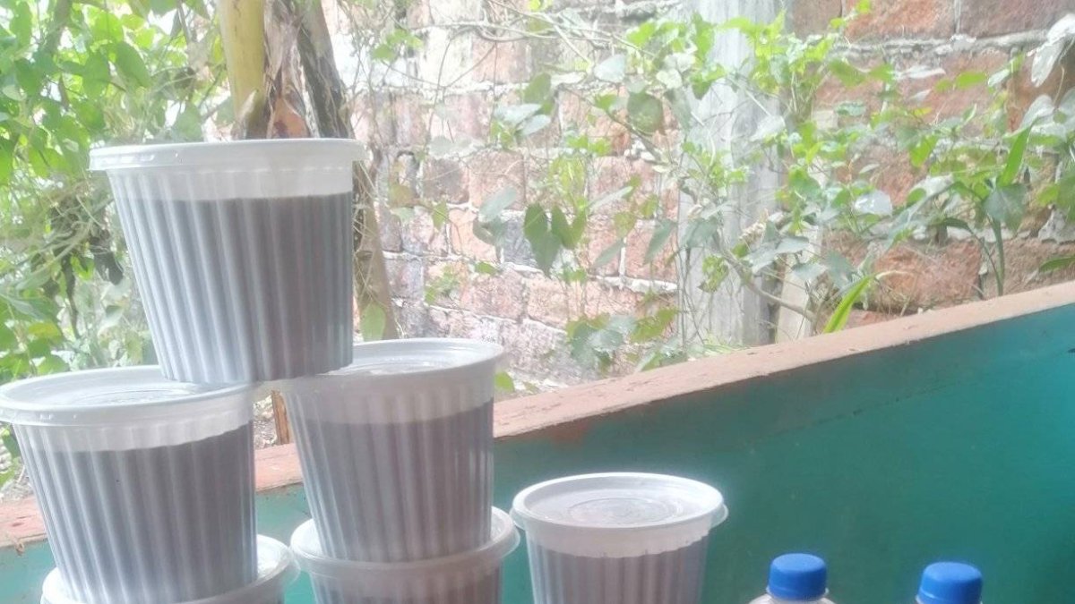 El vino y la mermalda de totuma o también conocido como mate, era usado por los antepasados   como una medicina ancestral.