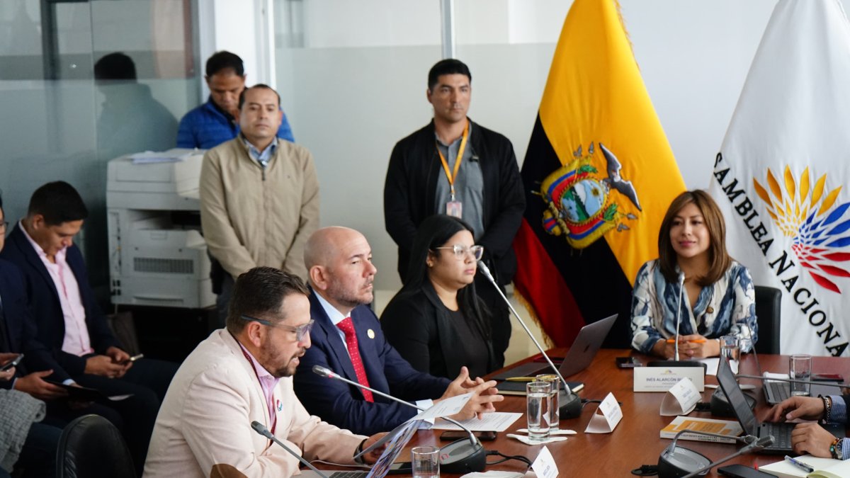 La Comisión de Seguridad es presidida por la oficialista Inés Alarcón.