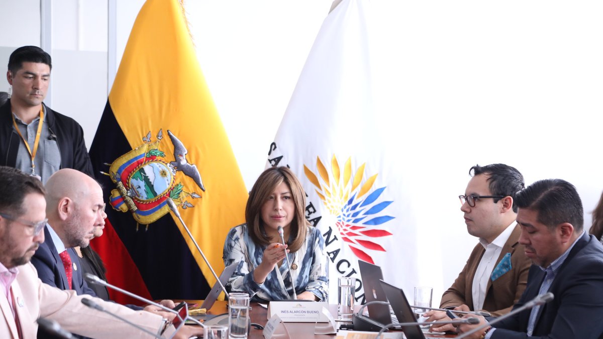 La oficialista Inés Alarcón preside la mesa de Seguridad.