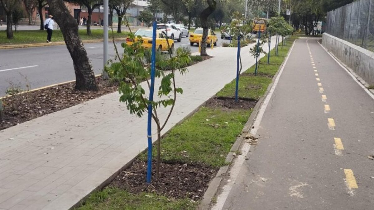 El 28 de febrero vandalizaron 23 árboles del nuevo bulevar de La Shyris.