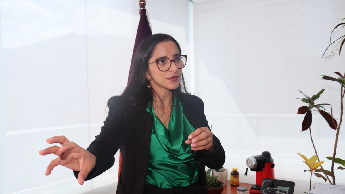 Lira Villalva ha estado vinculada a la política desde 2009.