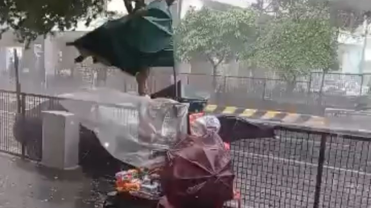 Tormenta en Guayaquil el 10 de marzo de 2025: fuertes vientos y lluvias causaron caídas de árboles e inundaciones en varias calles del centro y norte de la ciudad.