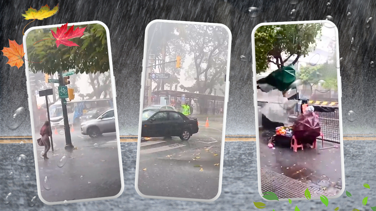 Videos viralizados causaron preocupación a los usuarios.