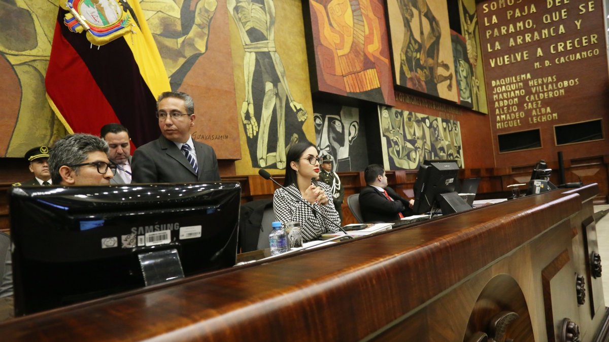 La presidenta de la Asamblea Nacional es la correísta Viviana Veloz.