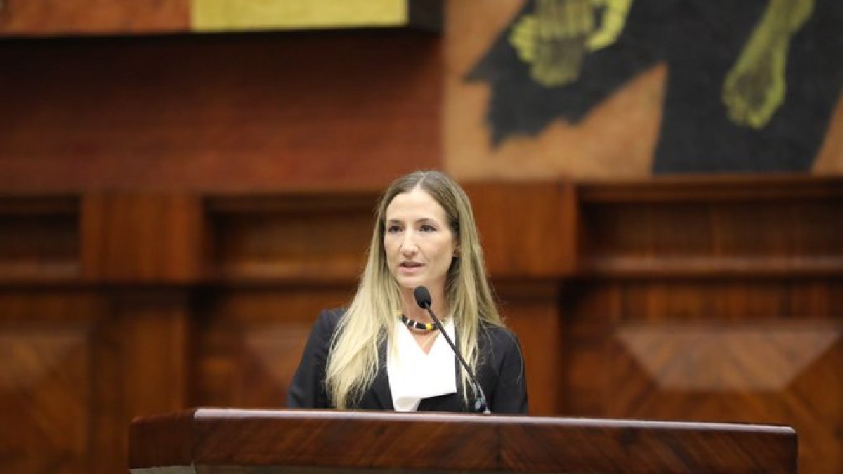Gabriela Goldbaum habló ante los legisladores, la tarde de este martes 11 de marzo.