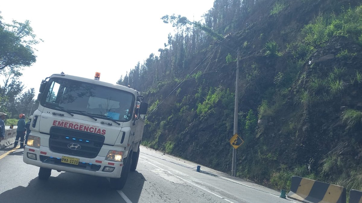 Un árbol que cayó en la avenida y generó una alta carga vehicular.