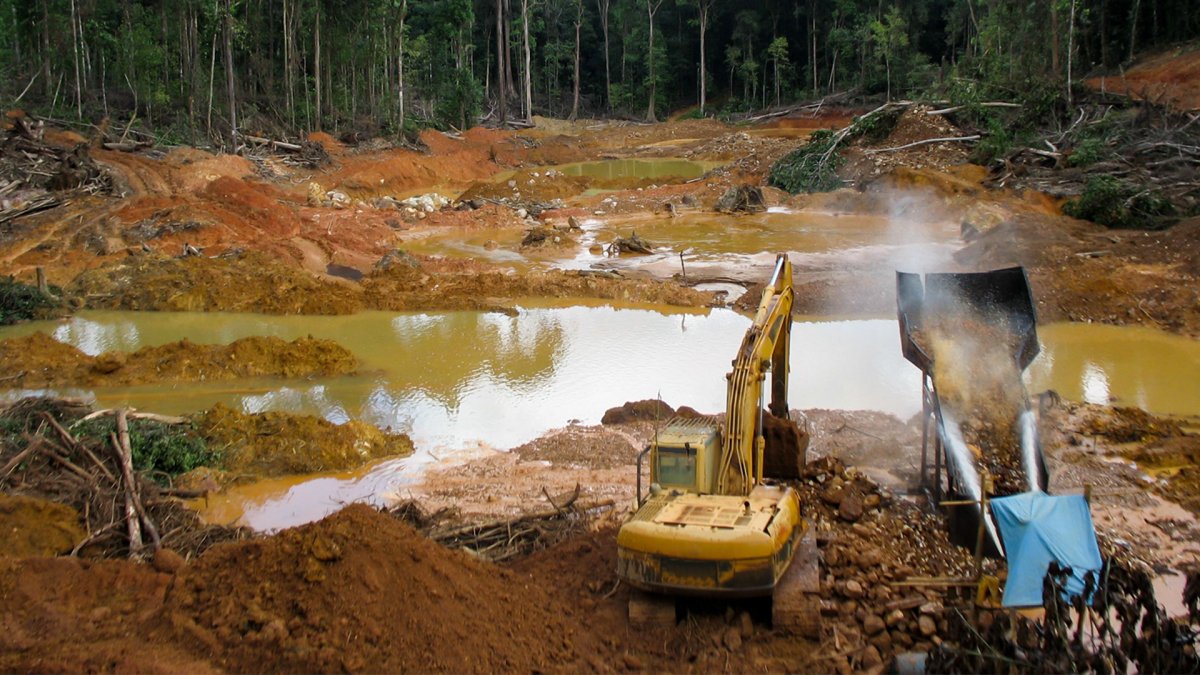 La minería de oro en la Amazonía peruana está fulminando uno de los ecosistemas más valiosos para combatir el cambio climático: los humedales de turberas.