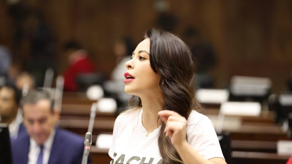 La Asamblea debatió el 13 de marzo sobre el campo Sacha que no se adjudicó.