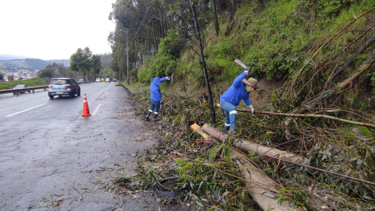 En la avenida Mariscal Sucre y La Gasca hubo un deslizamiento de tierra y se cayeron árboles