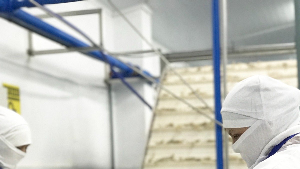 Las exportaciones de camarón podrían verse afectadas por una posible subida de aranceles.