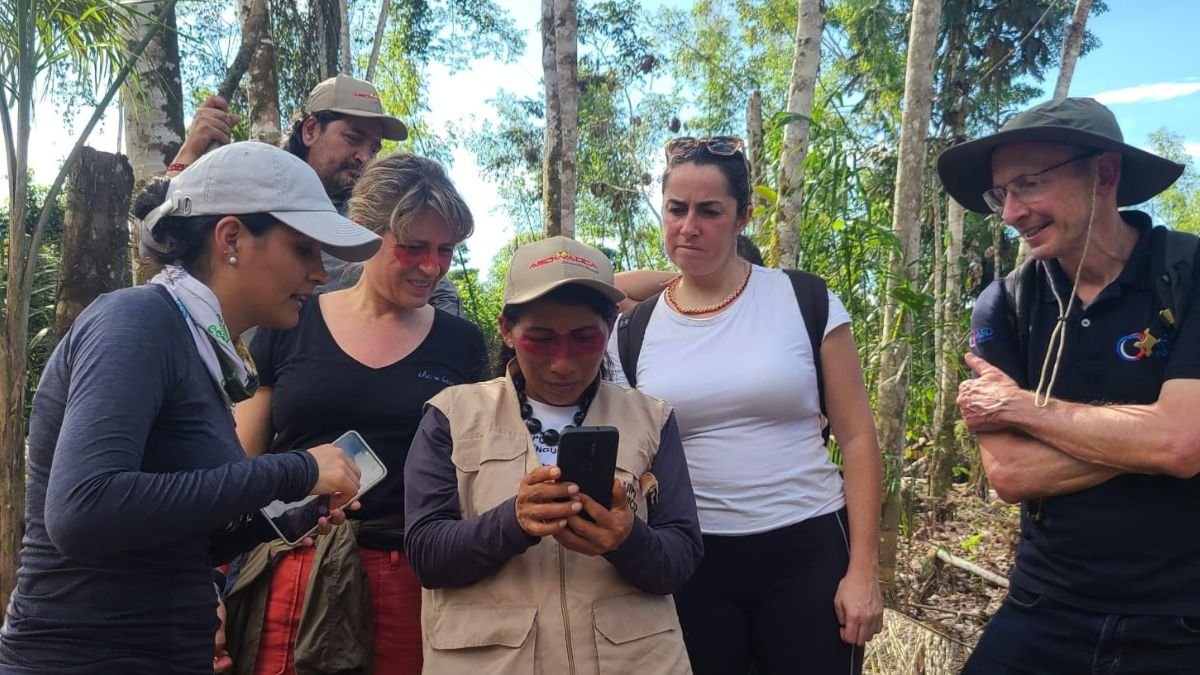 ONG. Fundación Ecociencia trabaja por conservar especies en la Amazonía ecuatoriana.