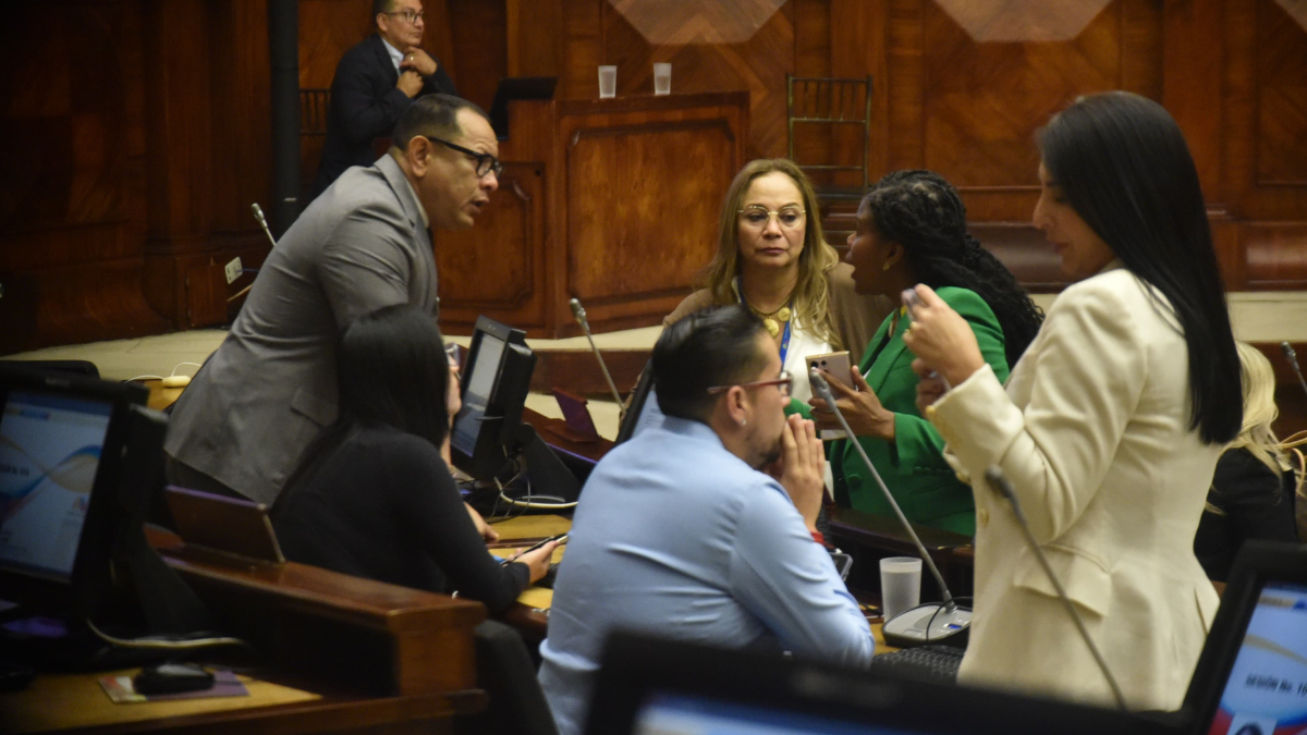 Proceso de fiscalización en la Comisión de Seguridad iniciará el 19 de marzo, presidida por Inés Alarcón