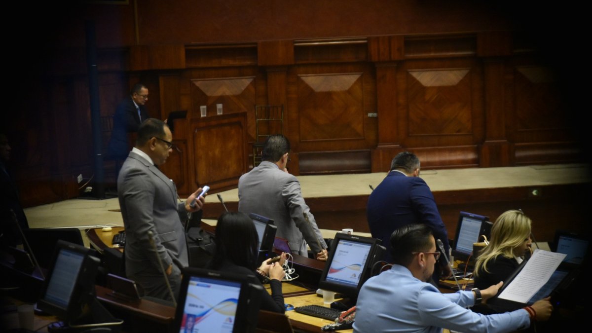 La sesión para definir el futuro de la vocal Johanna Verdezoto se realizó el 18 de marzo.