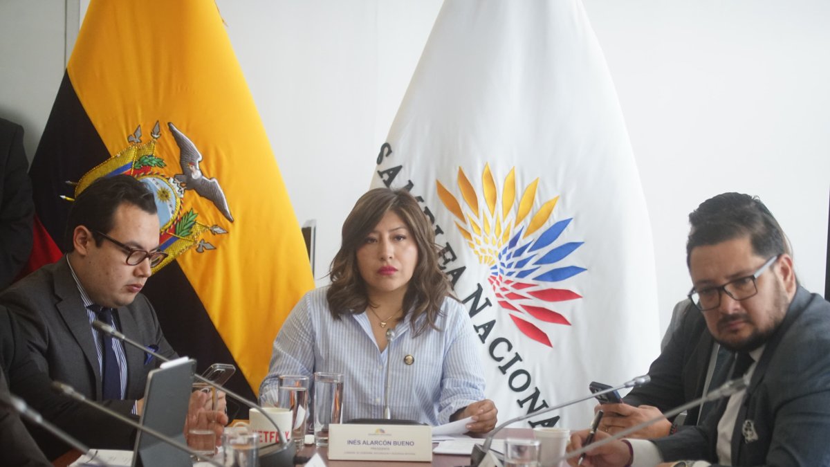 La presidenta de la Comisión de Seguridad, Inés Alarcón.