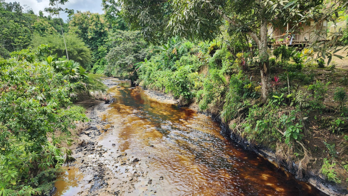 Los ríos contaminados por el derrame de petróleo en Esmeraldas.