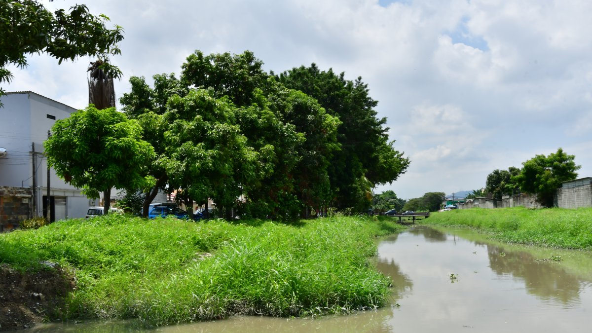 Los guayaquileños solicitan limpiar con urgencia canales de aguas lluvia naturales y zanjas. Los espacios se han convertido en criaderos de mosquitos.