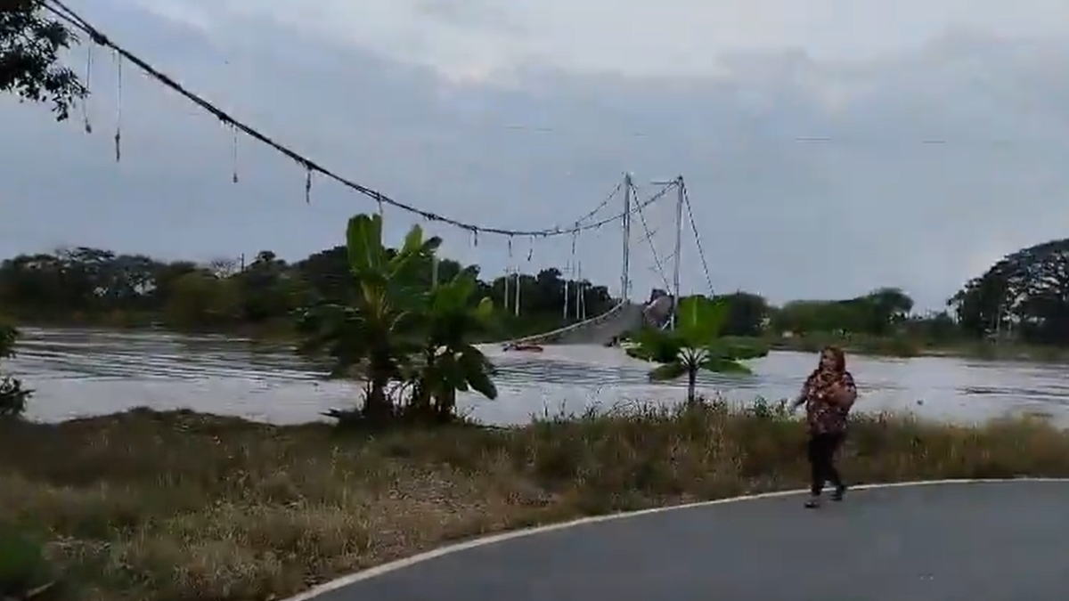 Usuarios en redes sociales reportan el colapso del puente Magro.