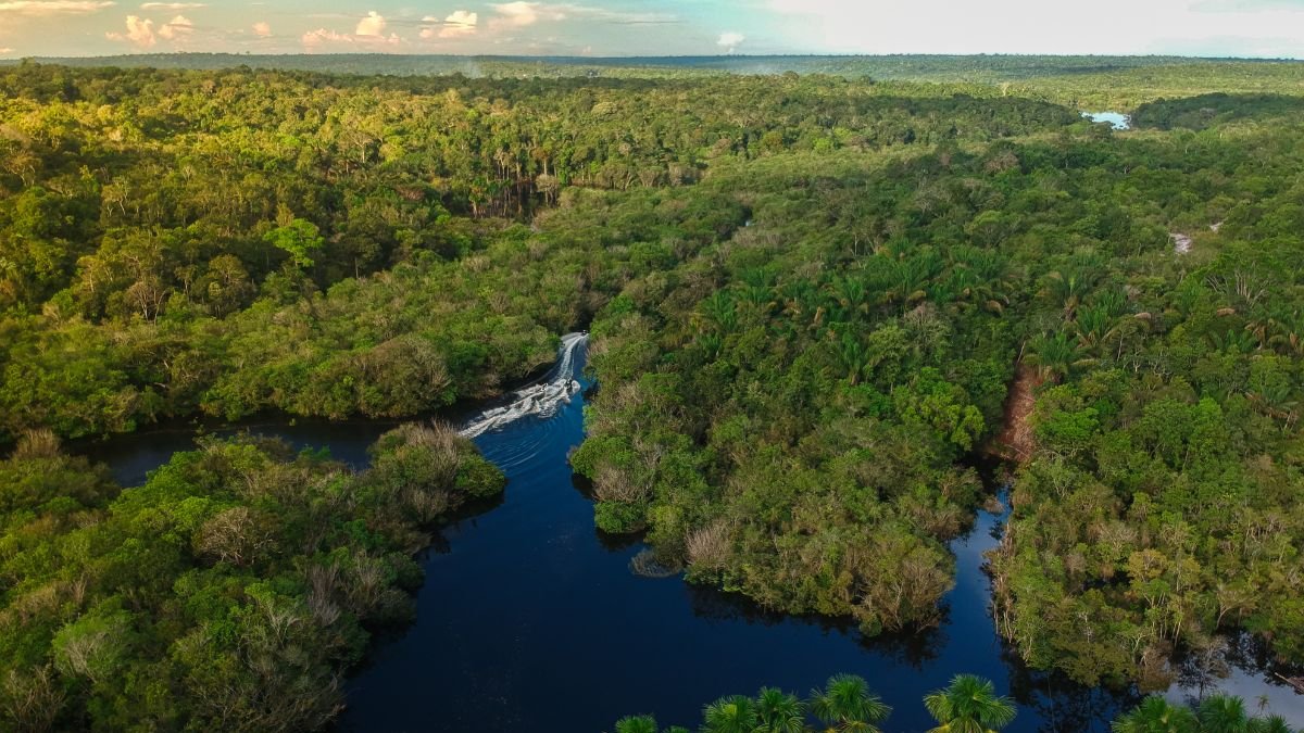 ONG. La Fundación Menté trabaja diversos proyectos medioambientales en la Amazonía ecuatoriana.